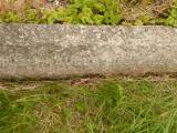 image of grave number 809010
